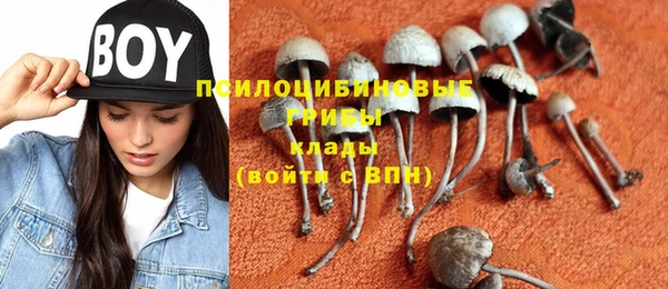 герыч Абаза