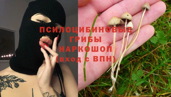 дурь Абдулино